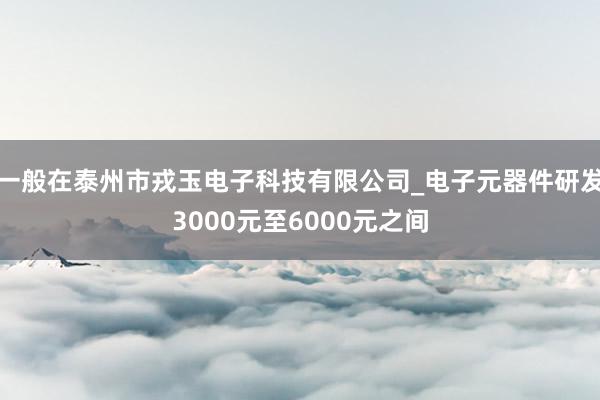 一般在泰州市戎玉电子科技有限公司_电子元器件研发3000元至6000元之间